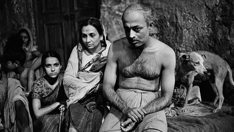 Backdrop from Calcutta 71