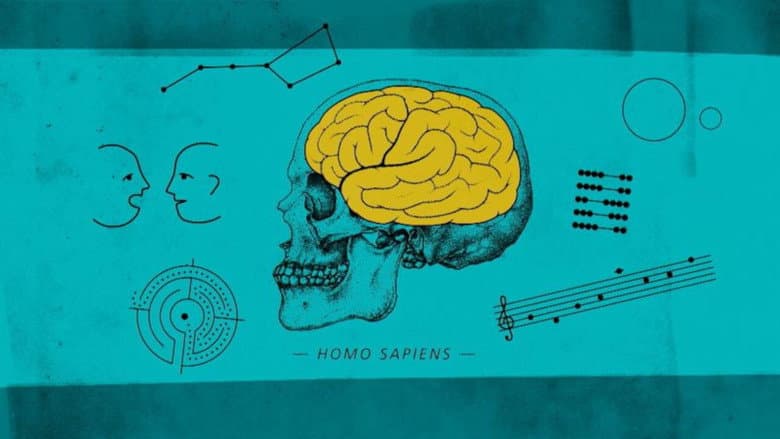Backdrop from Human By Chance?