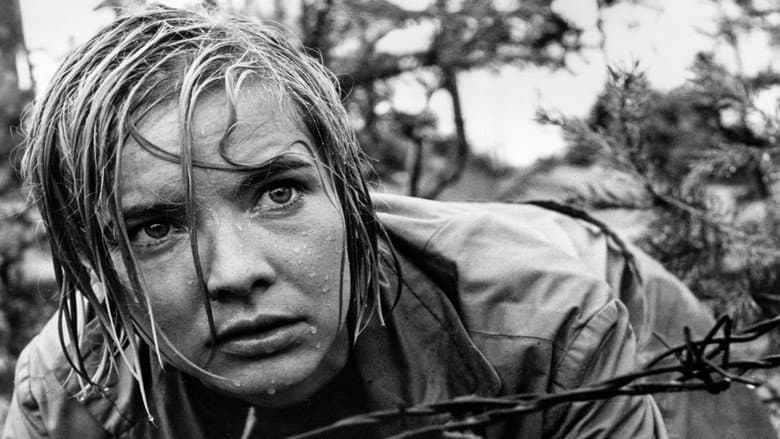 Backdrop from Star-Crossed Lovers