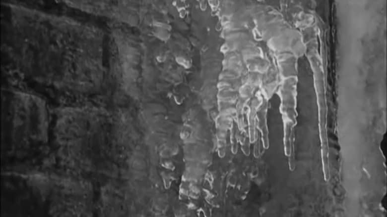 Backdrop from Winter