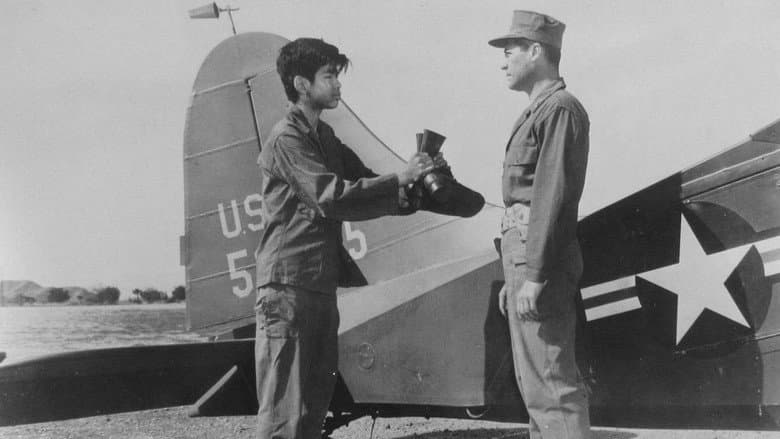 Backdrop from Mission Over Korea