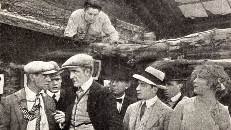 Backdrop from The Reed Case