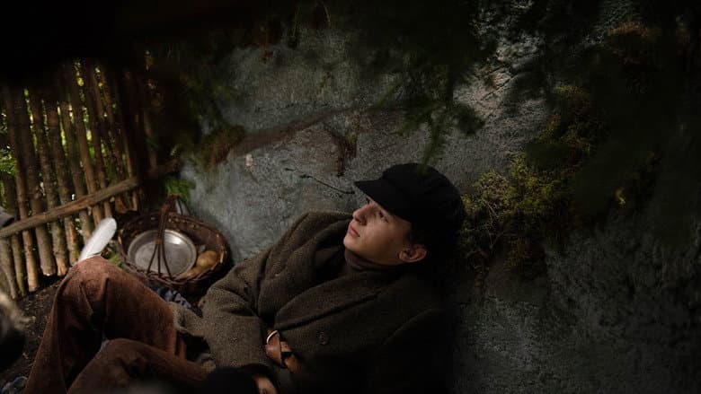 Backdrop from The Boy in the Woods