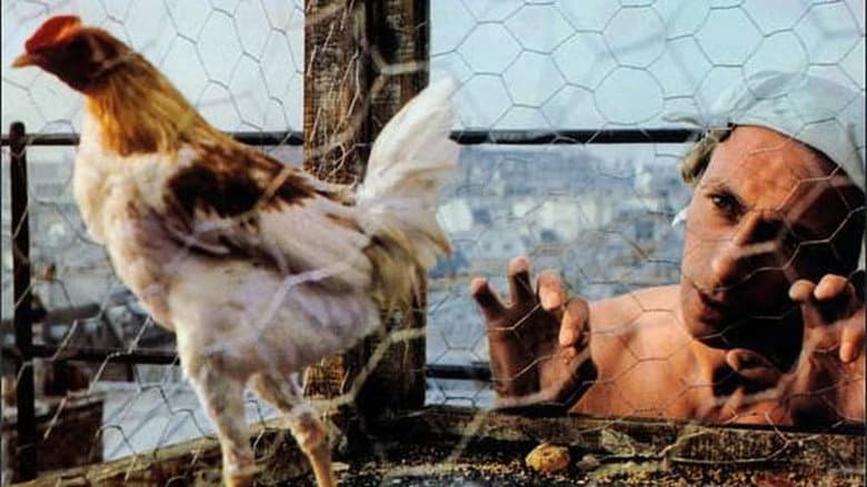 Backdrop from The Fighting Cock