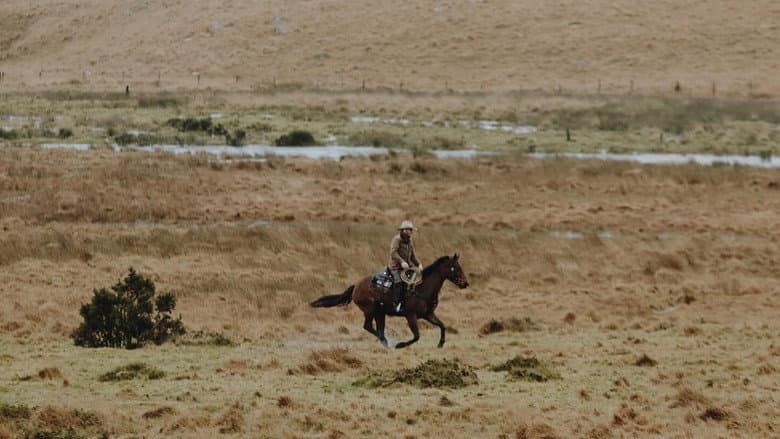 Backdrop from The Dartmoor Cowboy