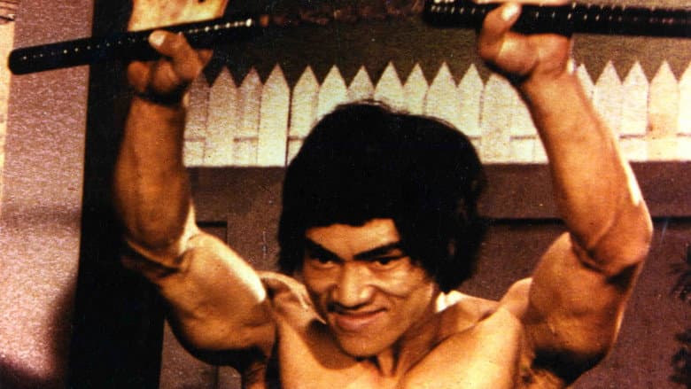 Backdrop from The Last Fist of Fury