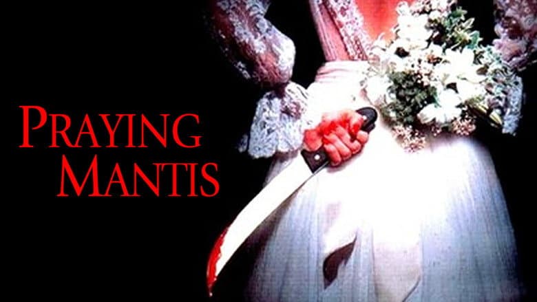 Backdrop from Praying Mantis