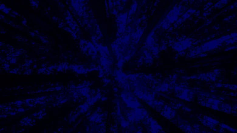 Backdrop from New York City Opera: A Little Night Music