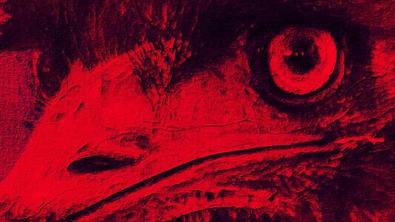 Backdrop from The Dark Emu Story