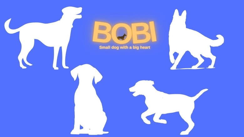 Backdrop from BOBI