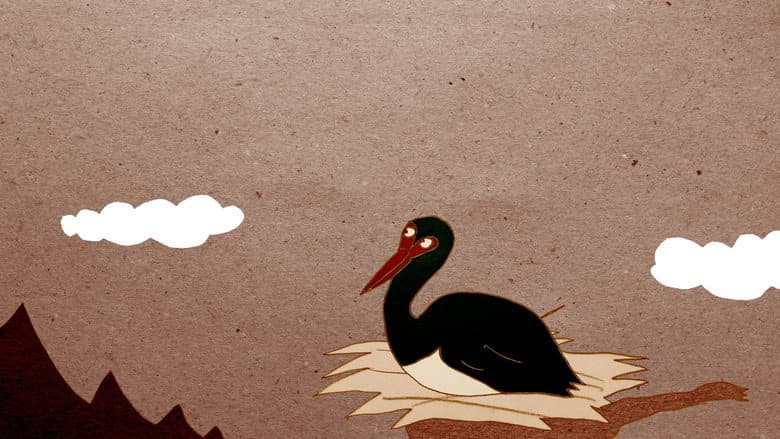 Backdrop from Mysterious Swamp