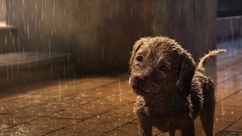 Backdrop from A Dog's Life