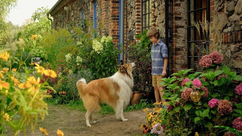 Backdrop from Lassie: A New Adventure
