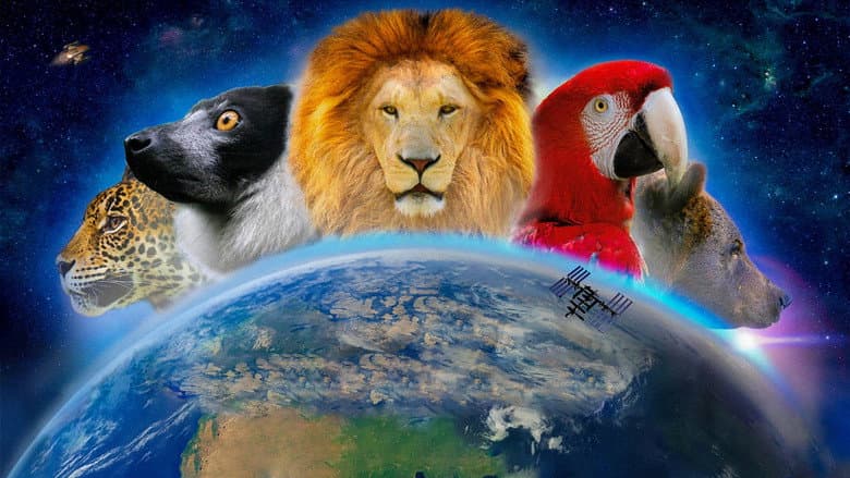 Backdrop from Wonderful World 3D