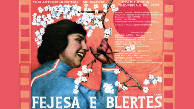 Backdrop from Blerta's Engagement