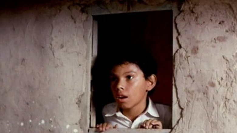Backdrop from El señor de los pájaros