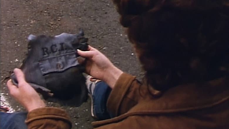 Backdrop from Raiders of the Living Dead
