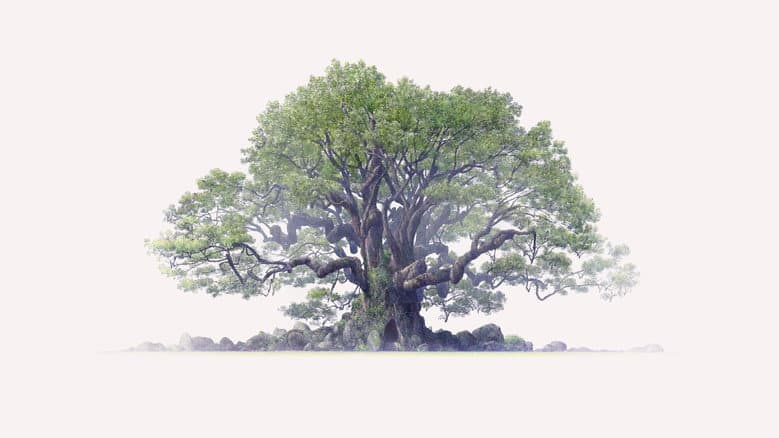 Backdrop from The Keeper of the Camphor Tree
