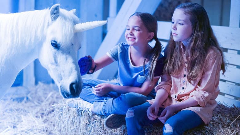 Backdrop from Wish Upon a Unicorn