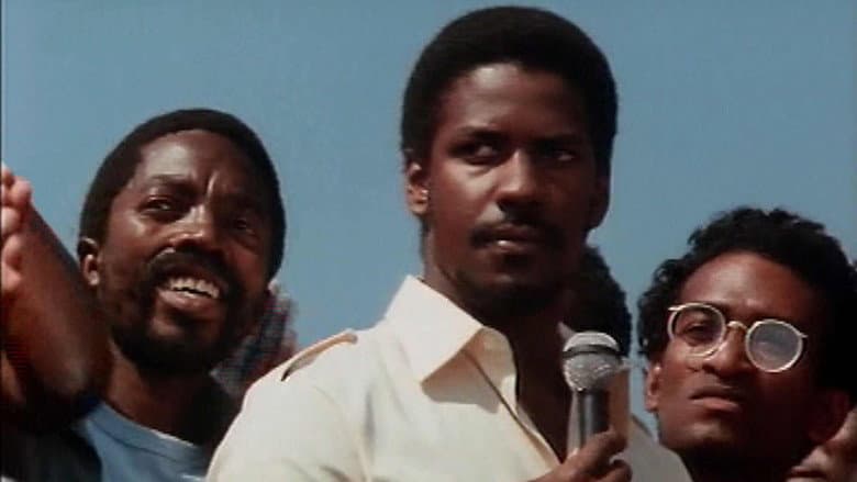 Backdrop from Cry Freedom