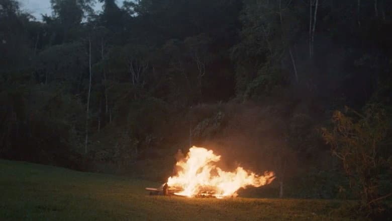 Backdrop from Burn the Dead