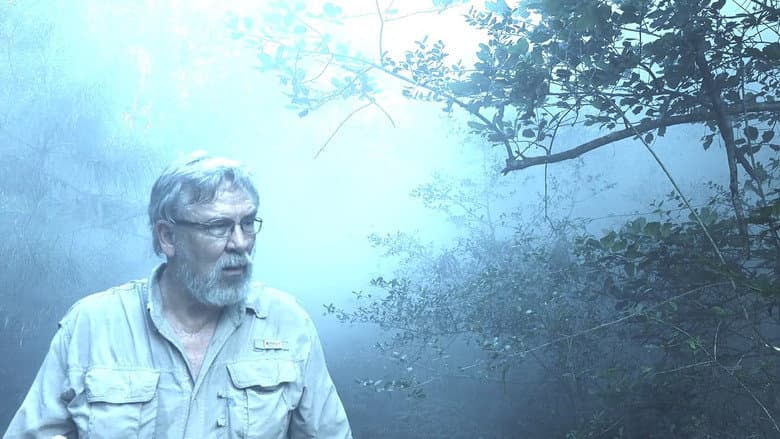 Backdrop from Alone with Bigfoot