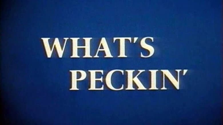 Backdrop from What's Peckin'