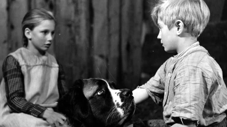 Кадр із фільму «Heart of a Child»