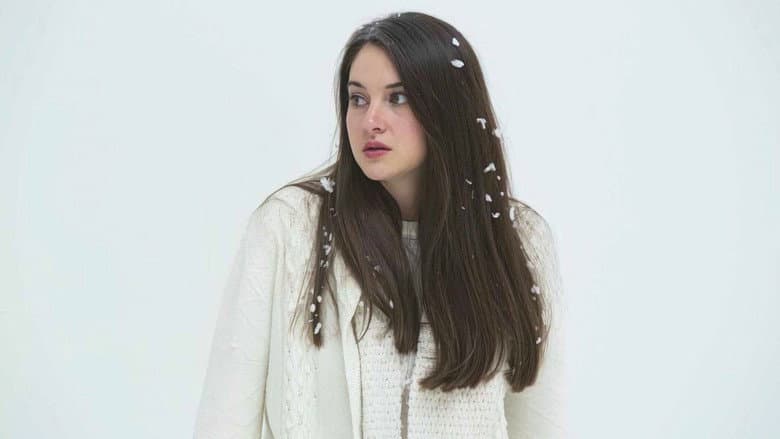 Backdrop from White Bird in a Blizzard
