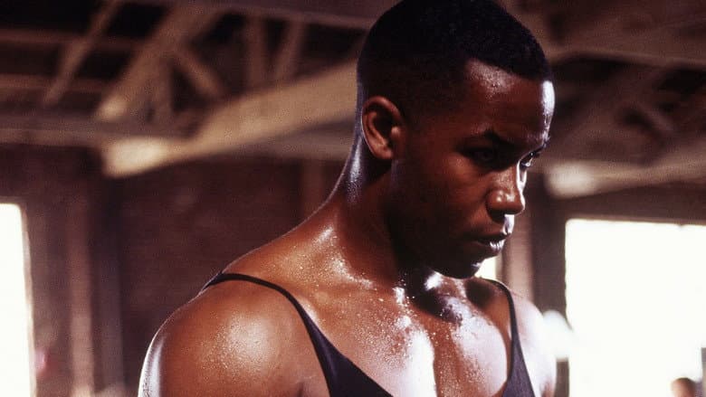 Backdrop from Tyson