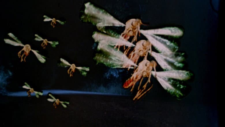 Backdrop from Mosquito