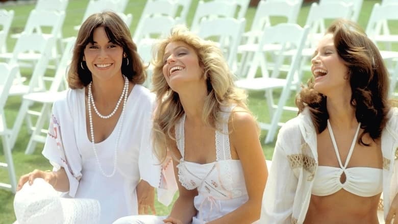 Backdrop from Charlie's Angels