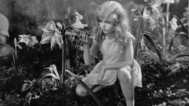 Backdrop from The Magic Garden