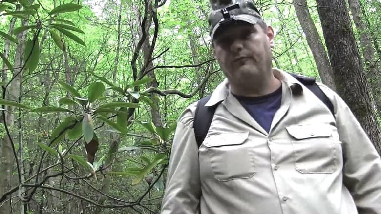 Backdrop from Bigfoot Still Tracking a Legend