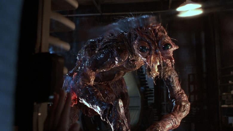 Backdrop from The Fly