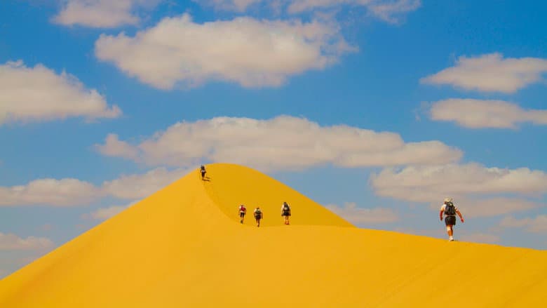 Backdrop from Desert Runners
