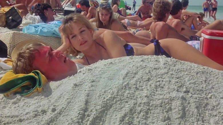 Backdrop from Summer Rental