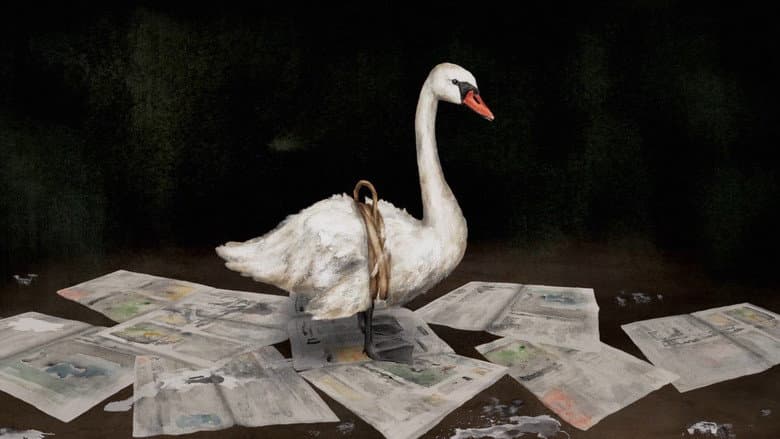 Backdrop from Swan Lady