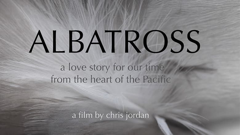 Backdrop from Albatross