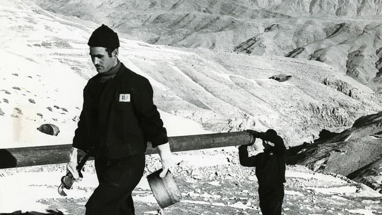 Backdrop from The Path of Oil