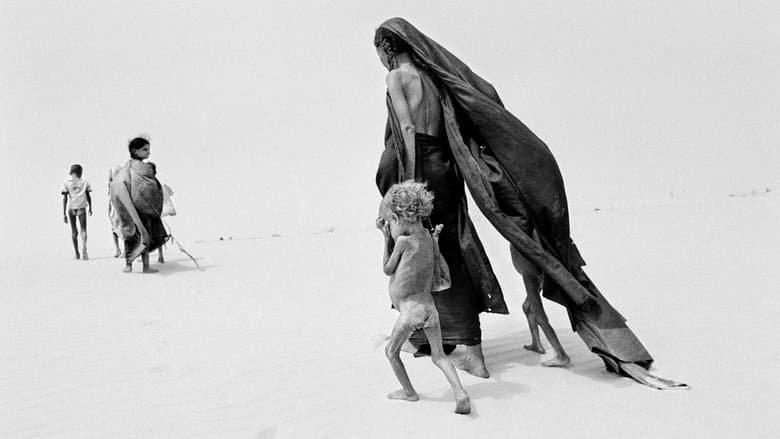 Backdrop from The Salt of the Earth