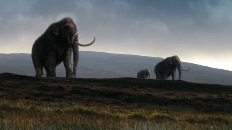 Backdrop from Great Mammoth Mystery