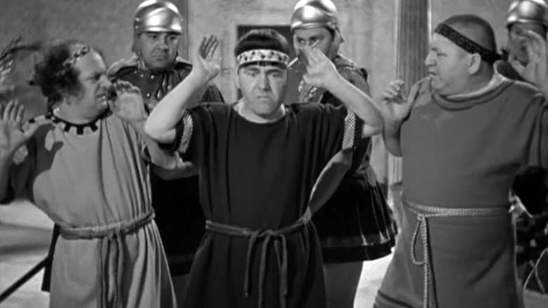 Backdrop from Matri-Phony