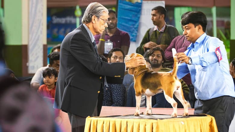 Backdrop from Best Dog India