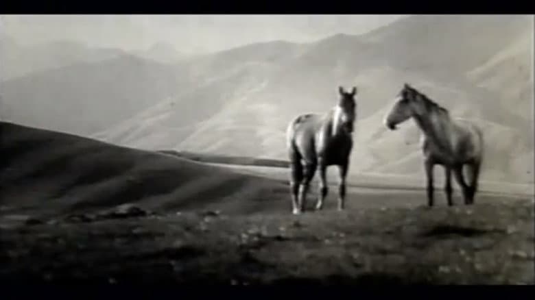 Backdrop from There Are Horses