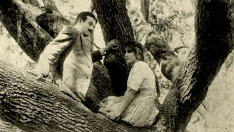 Backdrop from The Girl of the Grove