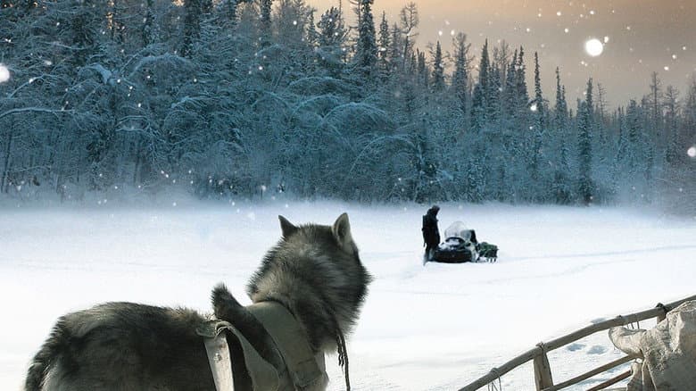 Backdrop from Happy People: A Year in the Taiga