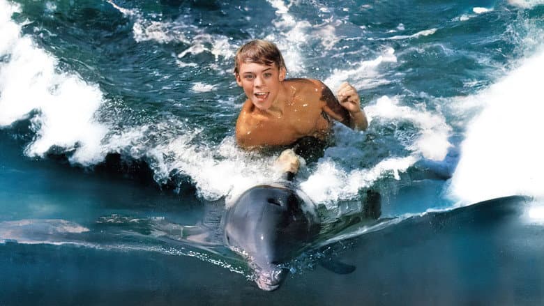 Backdrop from Flipper