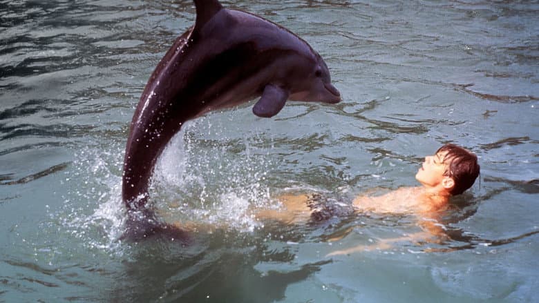 Backdrop from Flipper's New Adventure