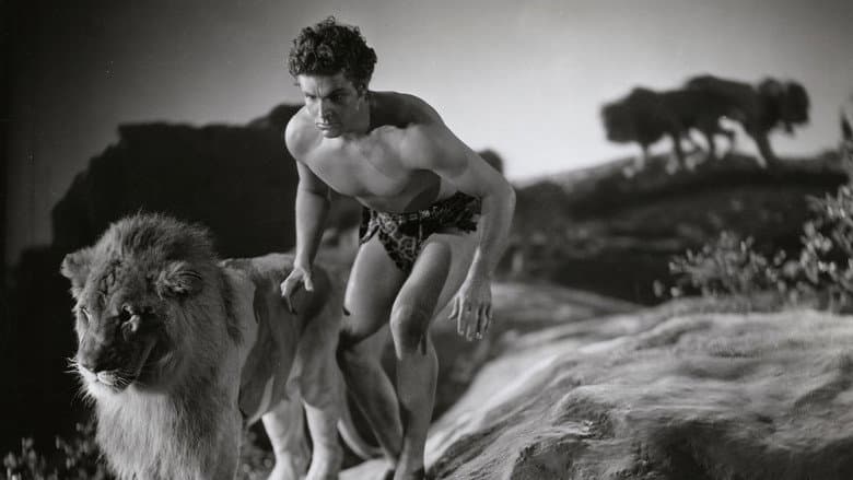 Backdrop from King of the Jungle